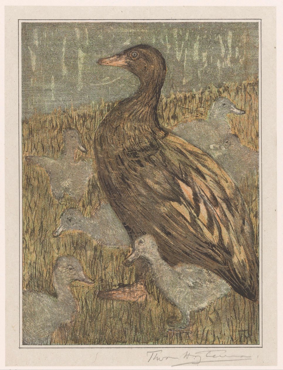 Pato com pintos à beira da água de Theo van Hoytema (signed by artist)