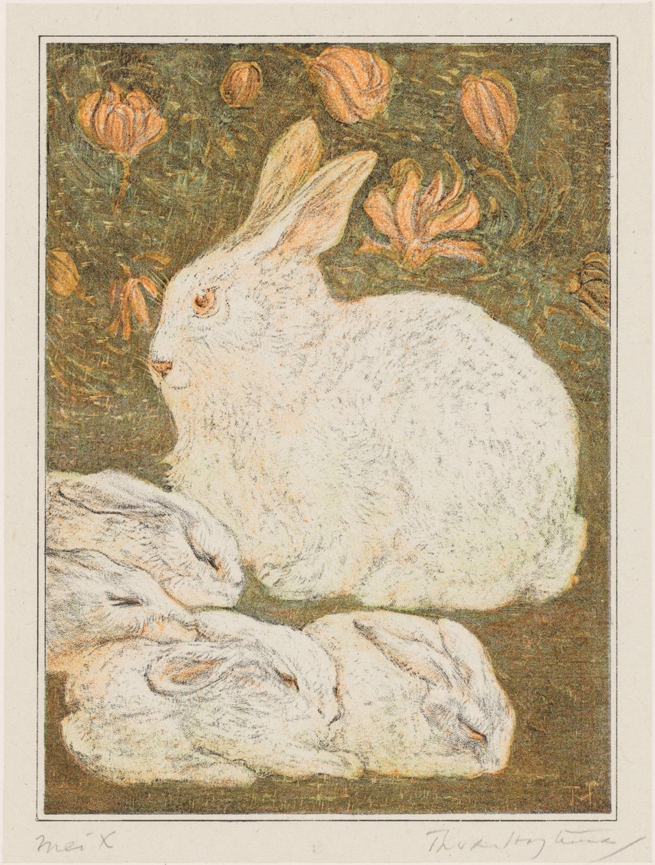 Coelhos de Theo van Hoytema (signed by artist)