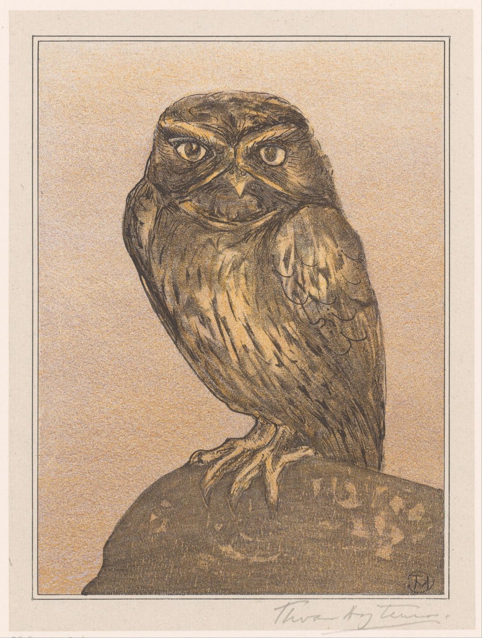 Pequena coruja na rocha de Theo van Hoytema (signed by artist)