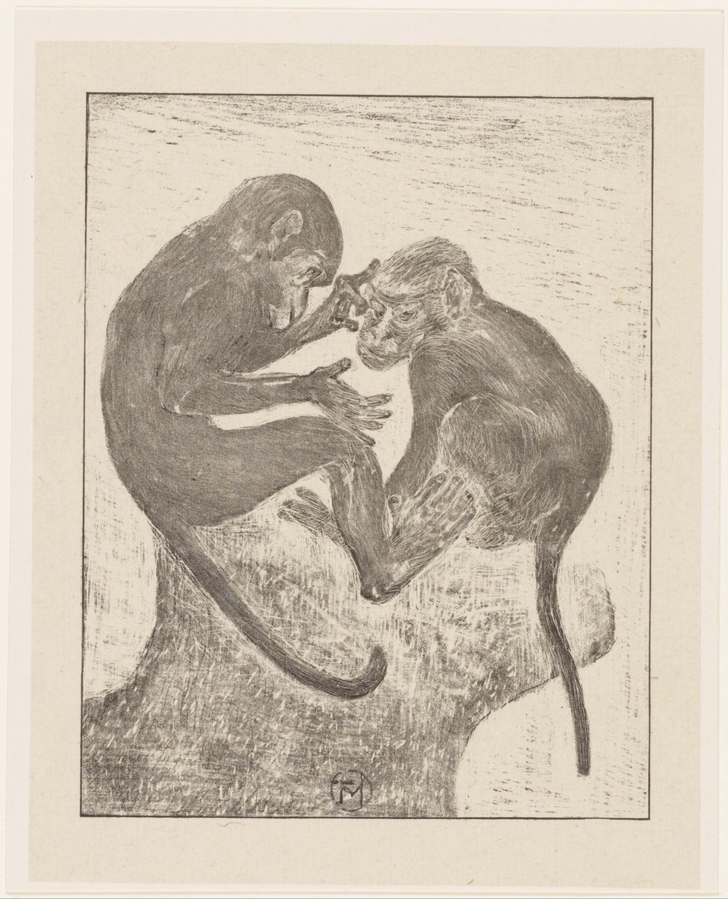 Dois macacos da pulga de Theo van Hoytema (signed by artist)