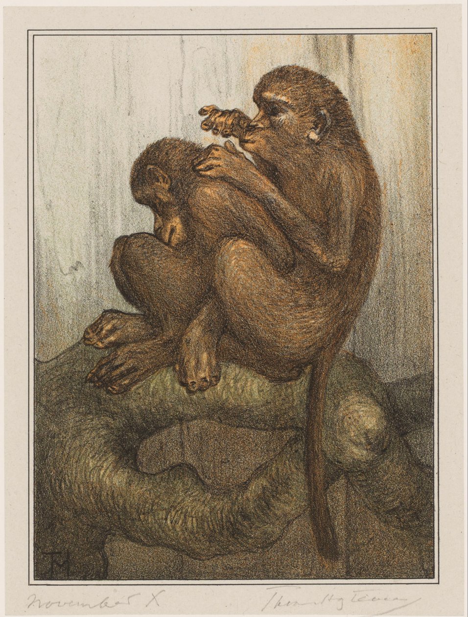 macacos de pulga de Theo van Hoytema (signed by artist)