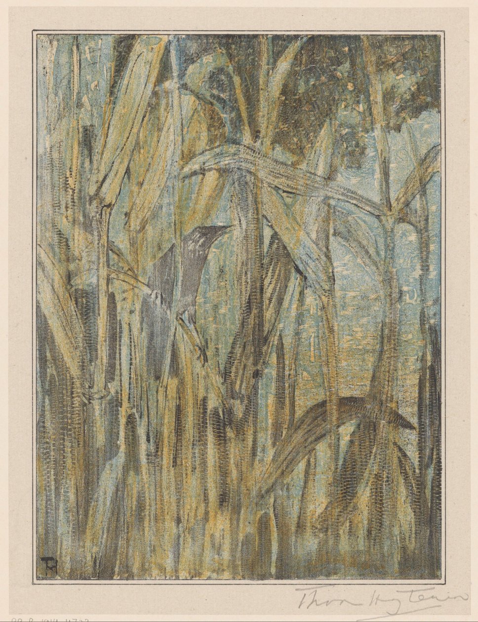 Pássaro nos juncos de Theo van Hoytema (signed by artist)