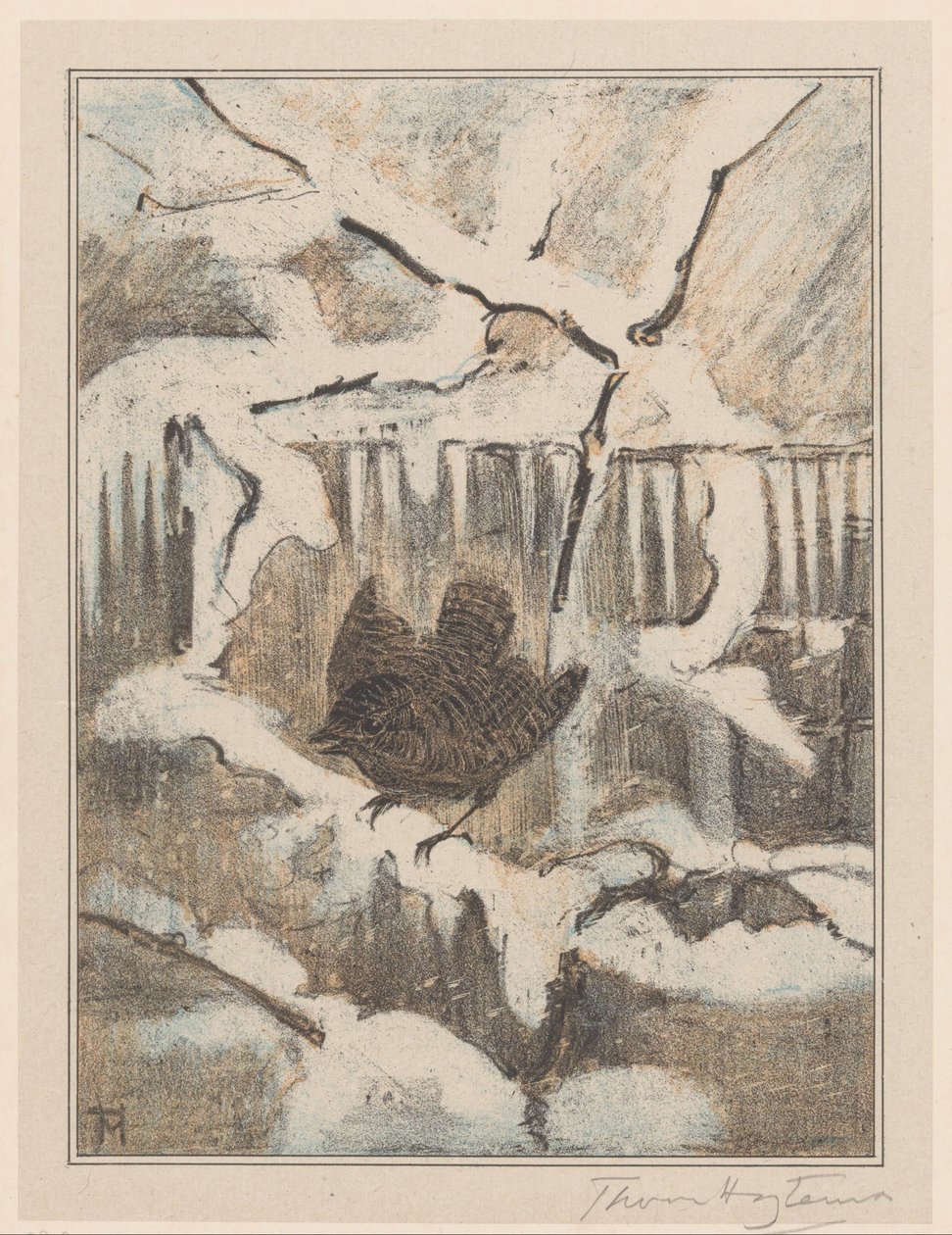Wren em ramo nevado de Theo van Hoytema (signed by artist)