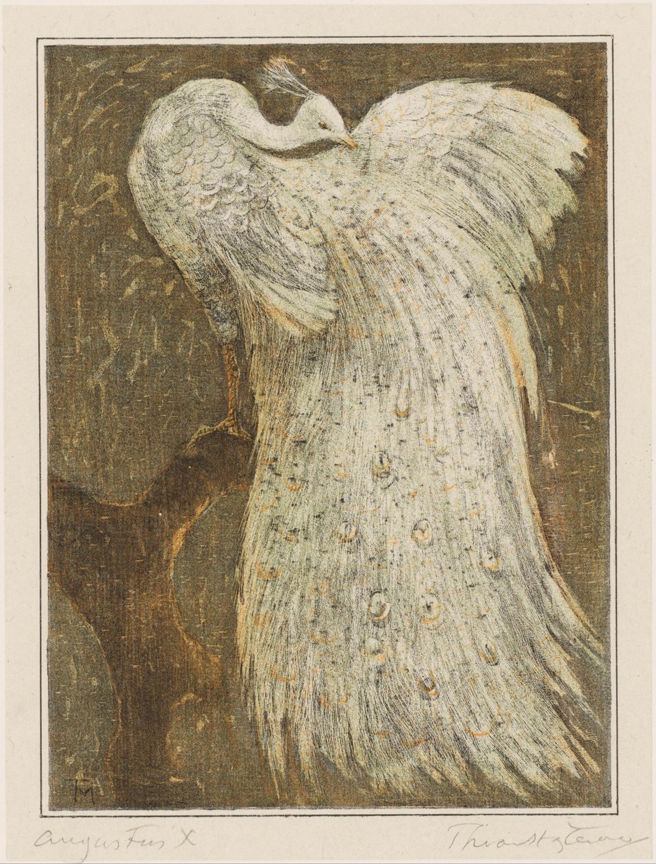 Pavão branco sobre ramo de Theo van Hoytema (signed by artist)
