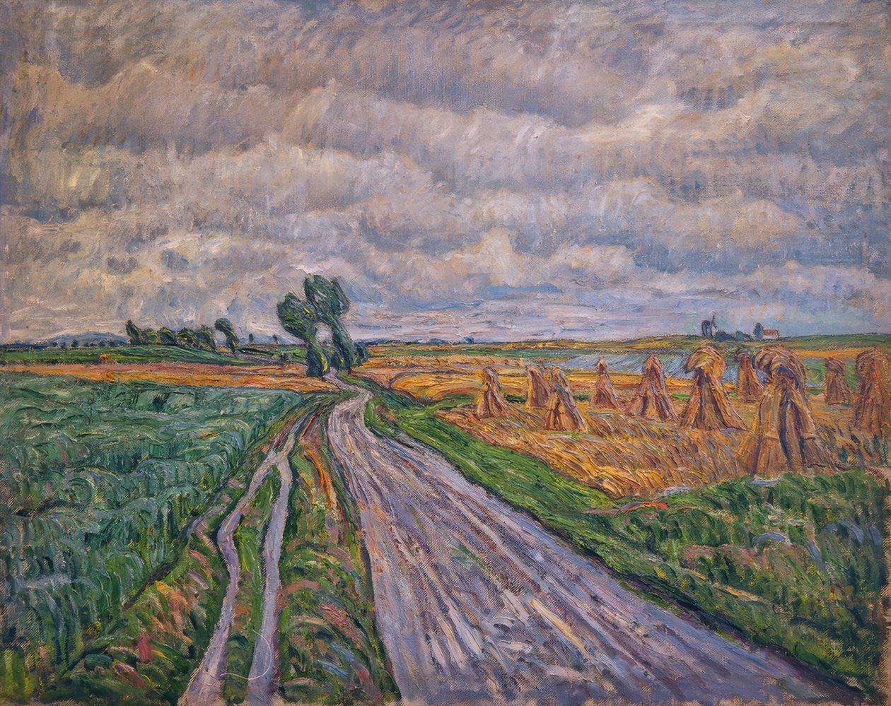 Estrada de terra na medula de Theo von Brockhusen