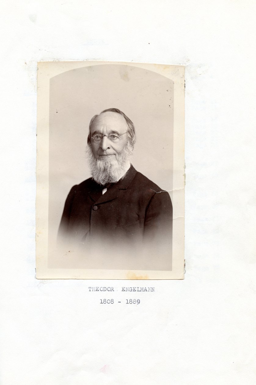 Reminiscências de Theodore Engelmann de Theodor Engelmann