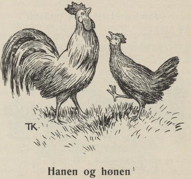 Galo e galinhaO galo e galinha de Theodor Kittelsen