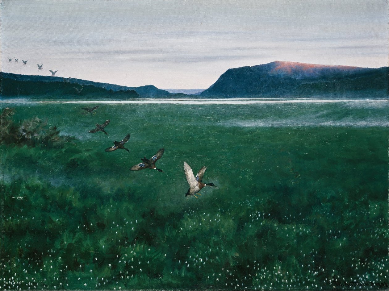 Os patos selvagens de twelwe de Theodor Kittelsen