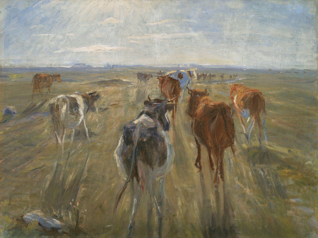 Long Shadows. Gado na ilha de Saltholm de Theodor Esbern Philipsen