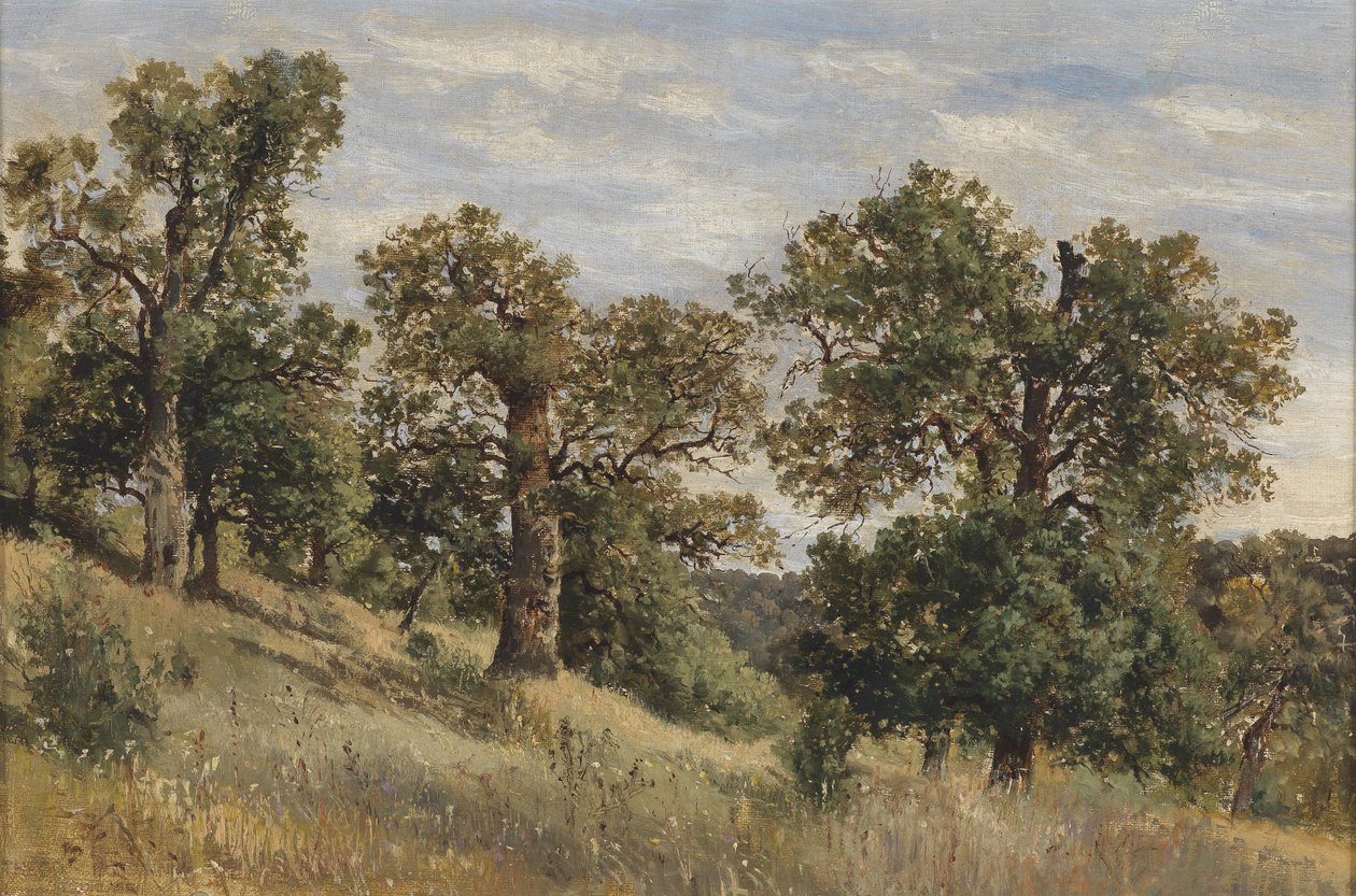 Declive montanha, com, árvore de Theodor von Hormann