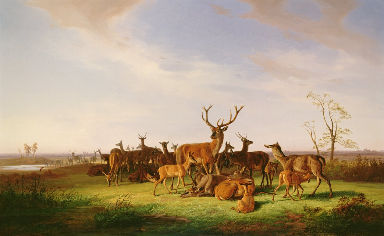 Um rebanho de veados em um pasto iluminado pelo sol de Theodor Julius Kiellerup