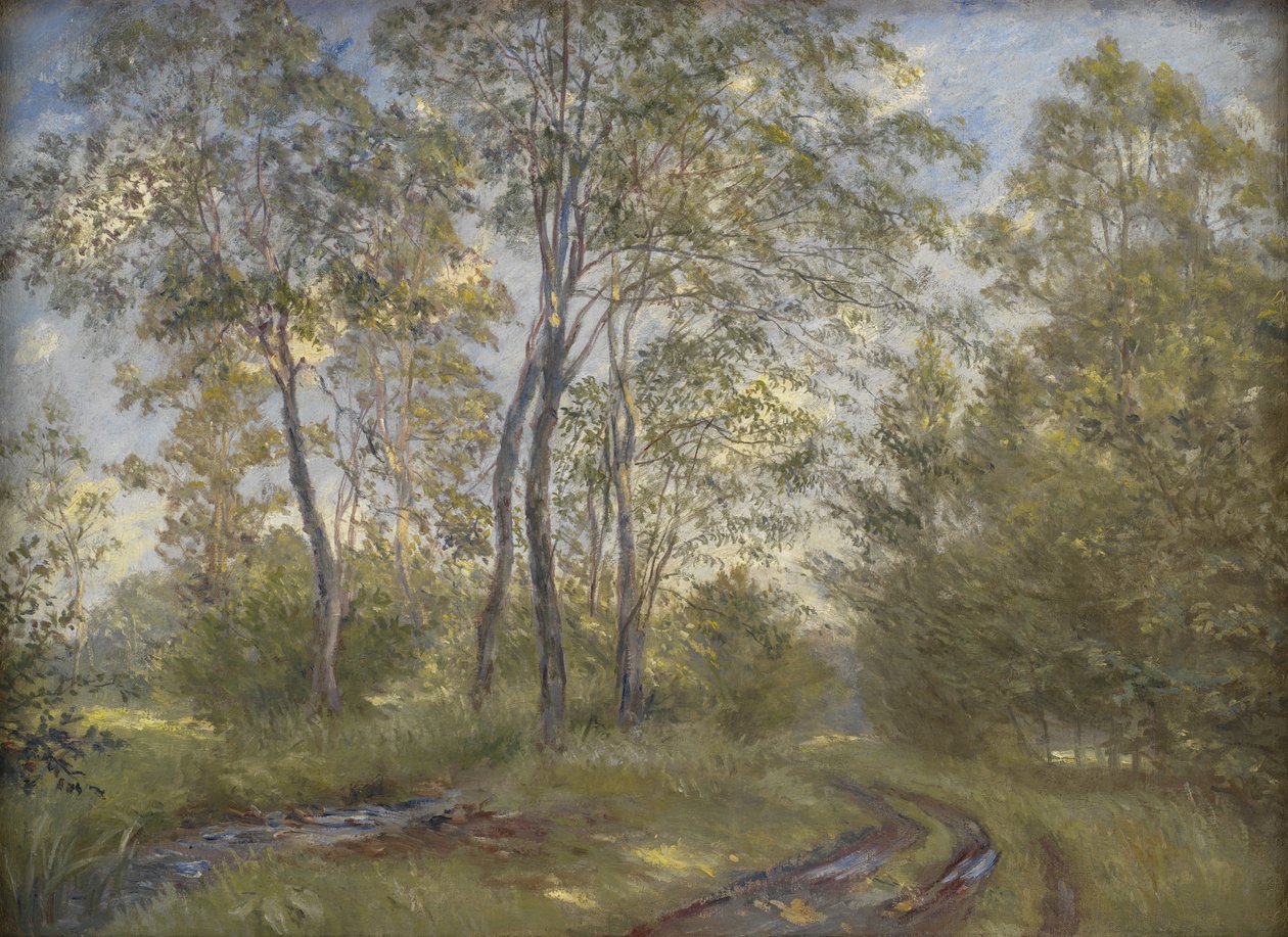 Um rio perto de Meilgård Manor, Jutland de Theodor Philipsen