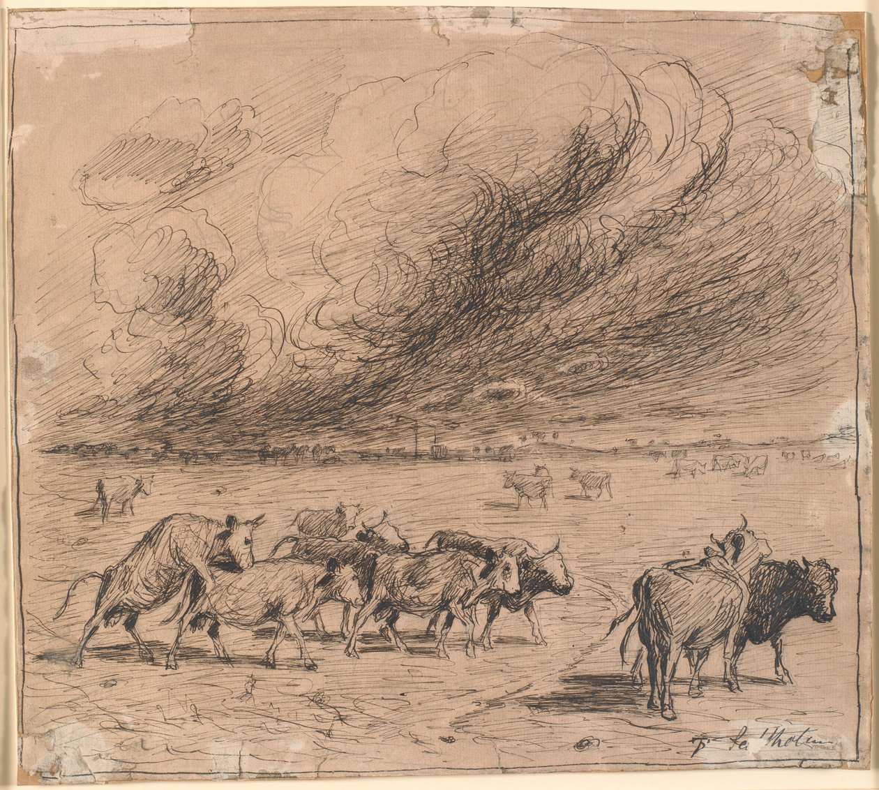 Um rebanho de vacas loucas por touro em Saltholm de Theodor Philipsen