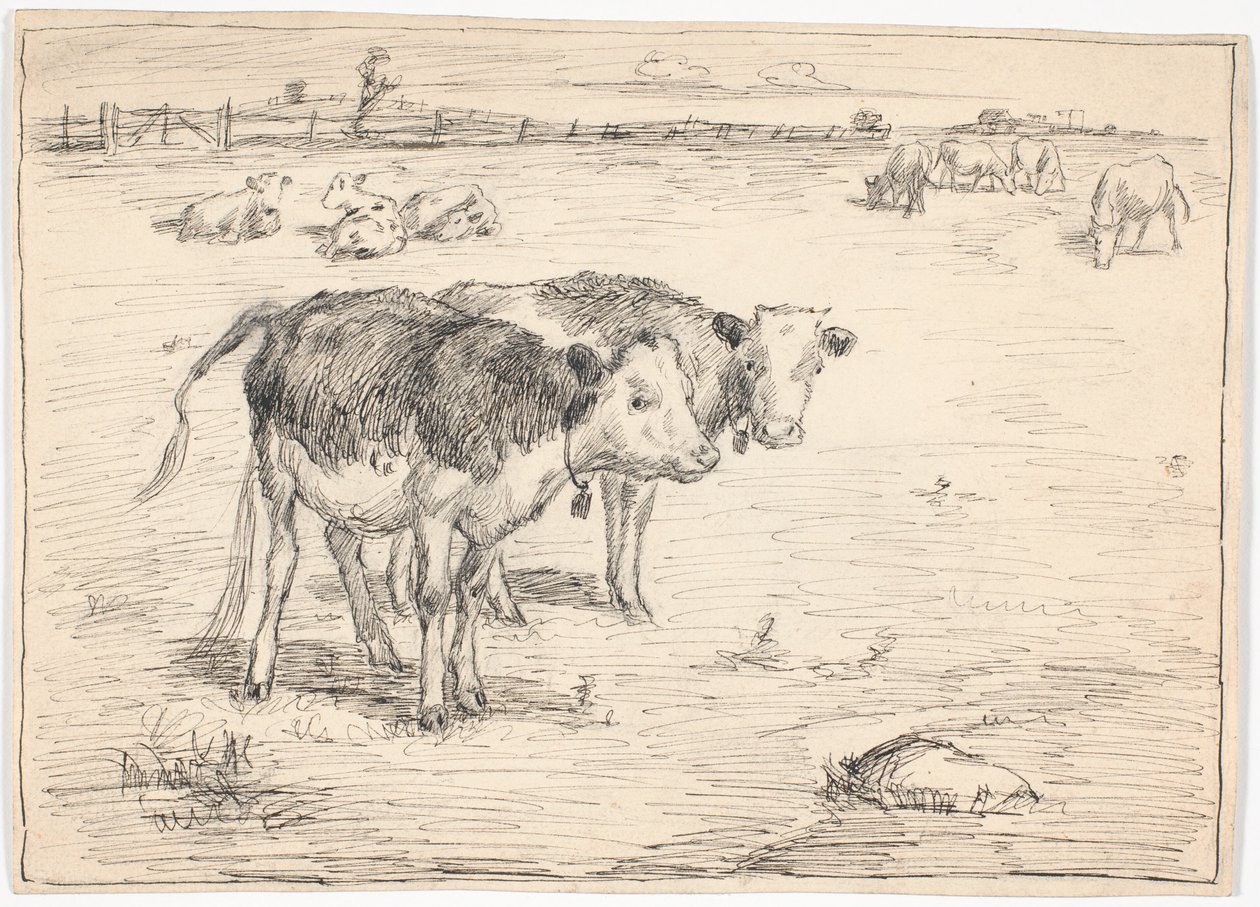 Um casal de bezerros em "Fladen", Saltholm de Theodor Philipsen