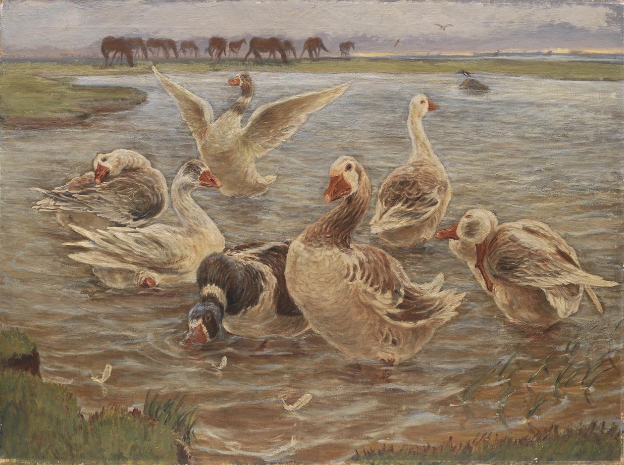 Gansos na ilha de Saltholm de Theodor Philipsen
