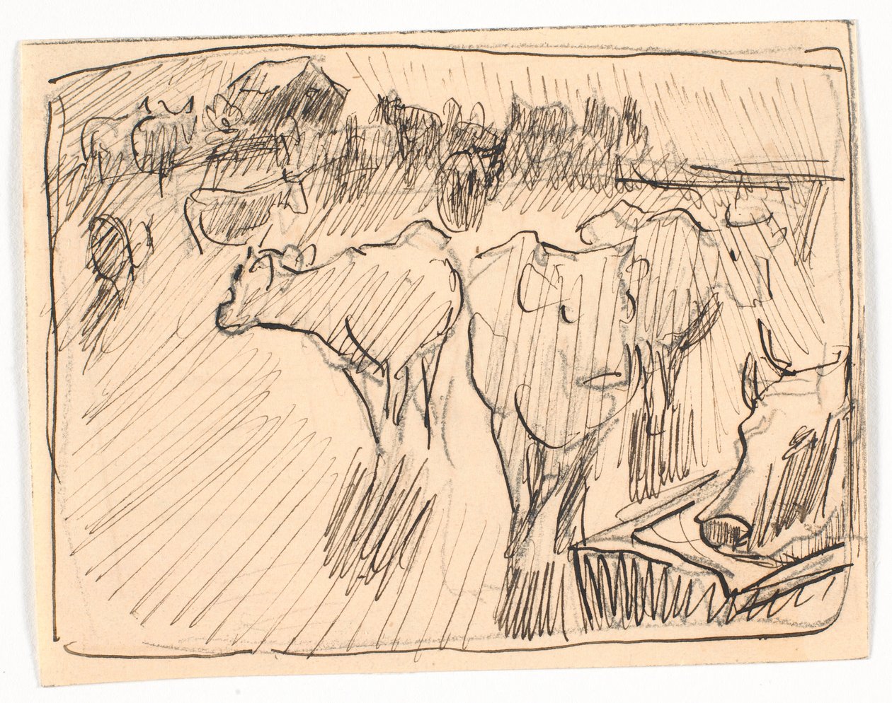 Vacas em um bebedouro, o assunto visto contra o sol de Theodor Philipsen