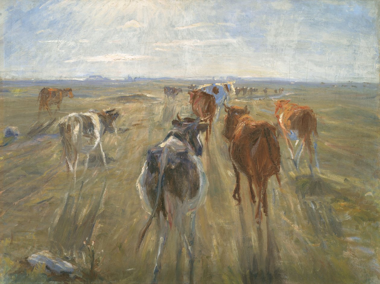 Longas Sombras. Gado na Ilha de Saltholm de Theodor Philipsen