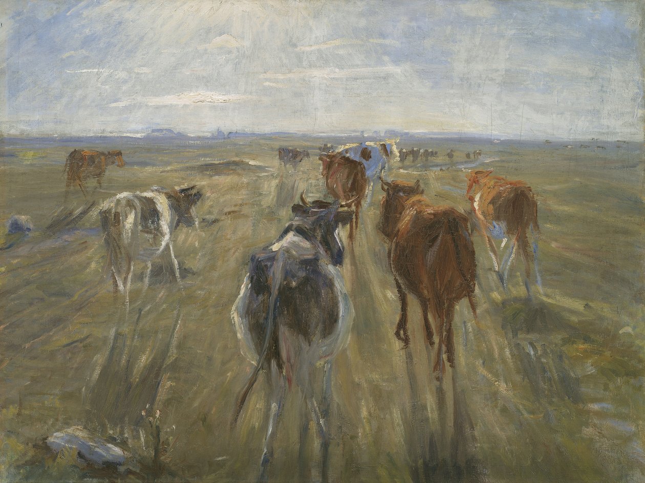 Sombras longas. Gado na ilha de Saltholm, c. 1890 de Theodor Philipsen