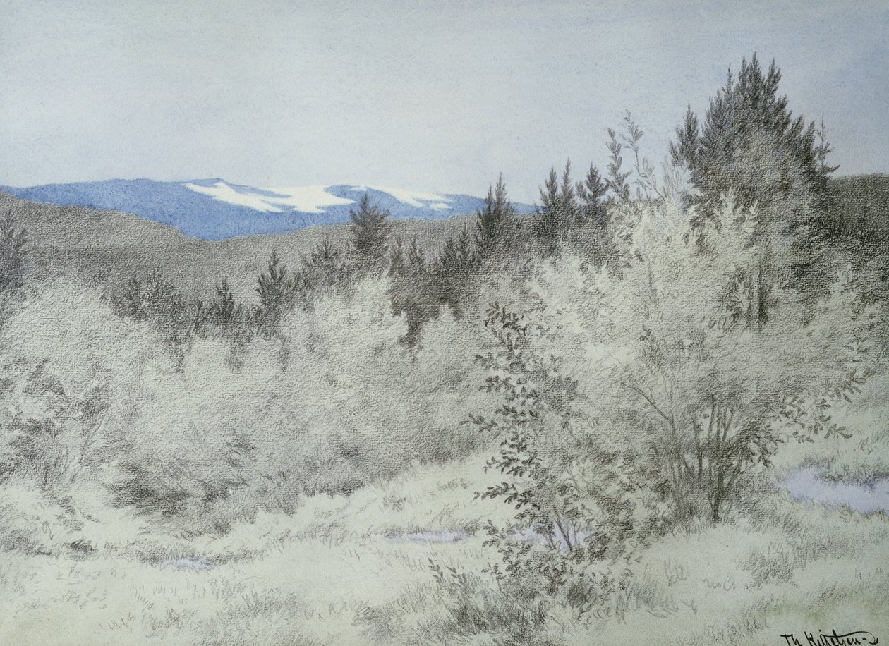 Longe, na floresta de Theodor Kittelsen