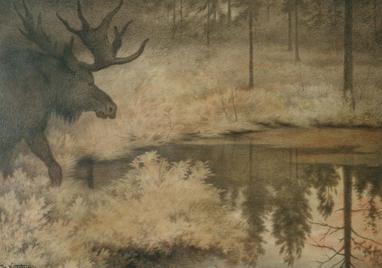O alce vem para saciar a sua sede de Theodor Kittelsen