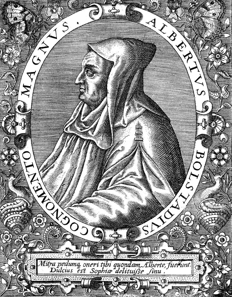 Albertus Magnus c1200-1280 Frade dominicano de origem alemã, final do século XVI de Theodor de Bry