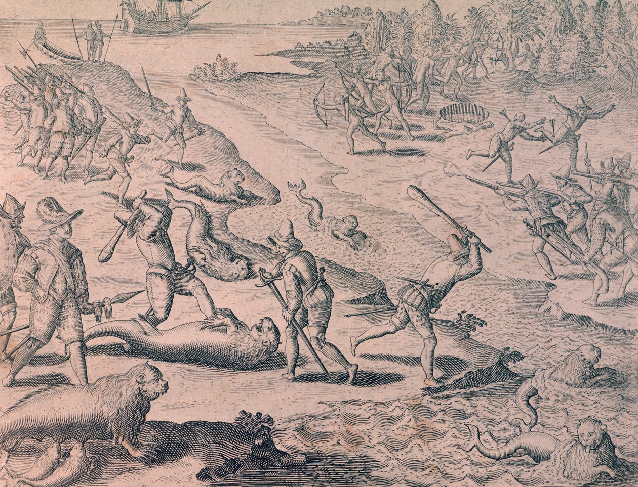 Abate de leões marinhos por exploradores de Theodor de Bry