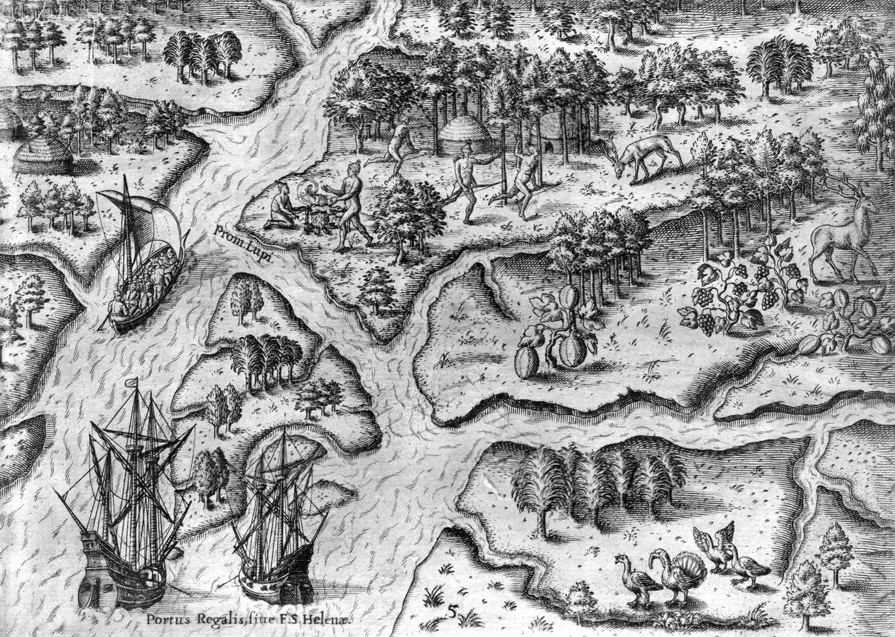 A expedição francesa aterra em Port Royal, na Florida de Theodor de Bry