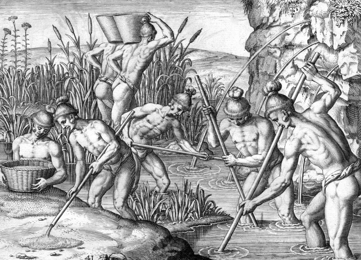 Índio Timucua a recolher ouro de Theodor de Bry