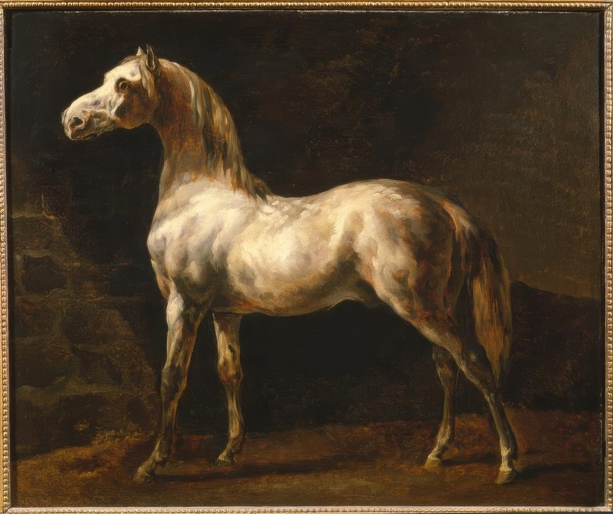 O garanhão branco de Theodore Gericault