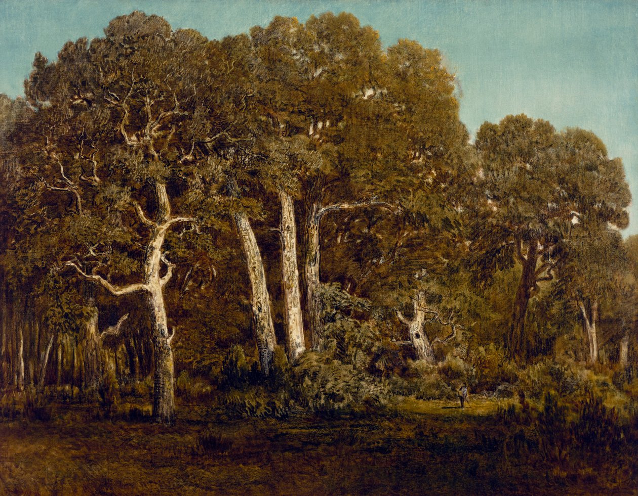 Os grandes carvalhos de Old Bas-Breau, 1864 de Pierre Etienne Theodore Rousseau