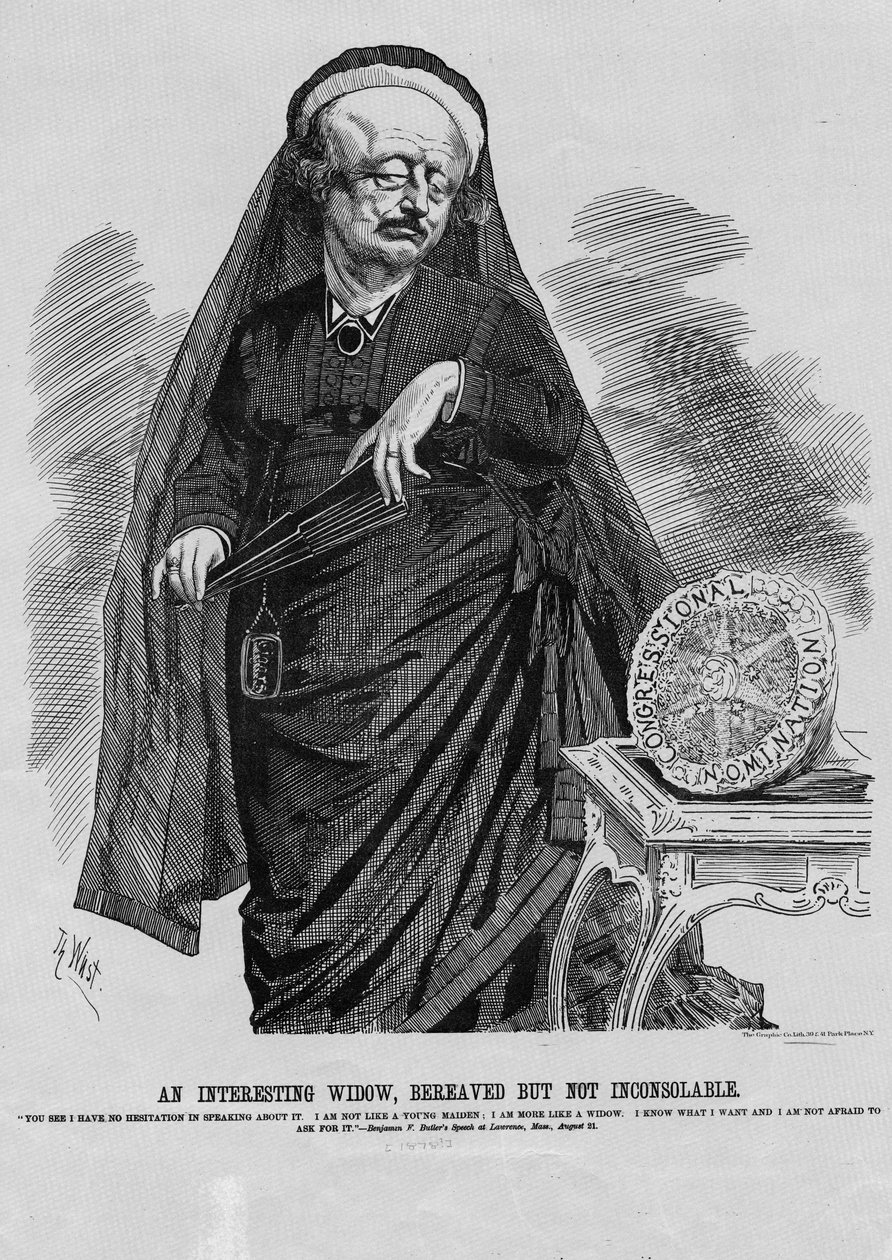 Uma viúva interessante: enlutada, mas não inconsolável, Graphic Co. Lith, Nova York, 1876 de Theodore Wust