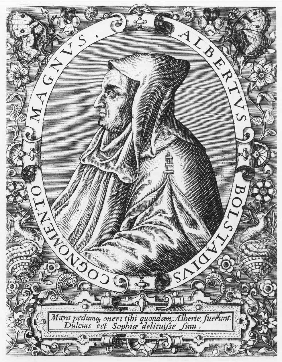 Albert de Theodore de Bry