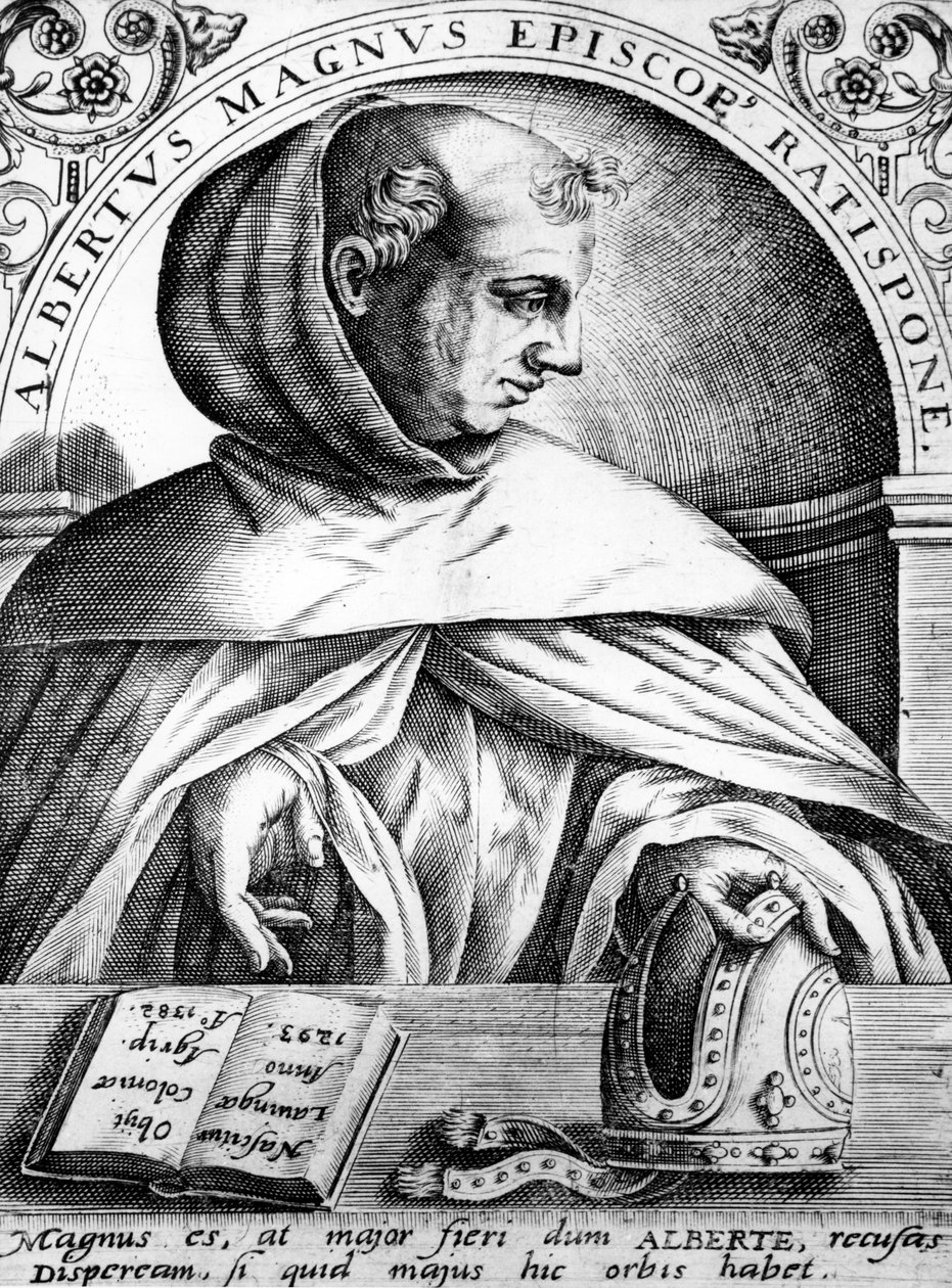 Albertus Magnus, ilustração de &39;Imagens de homens de excelente conhecimento e aprendizagem profunda em imagens animadas e vívidas&39; de Jean Jacque Boissard, publicado em 1669 de Theodore de Bry