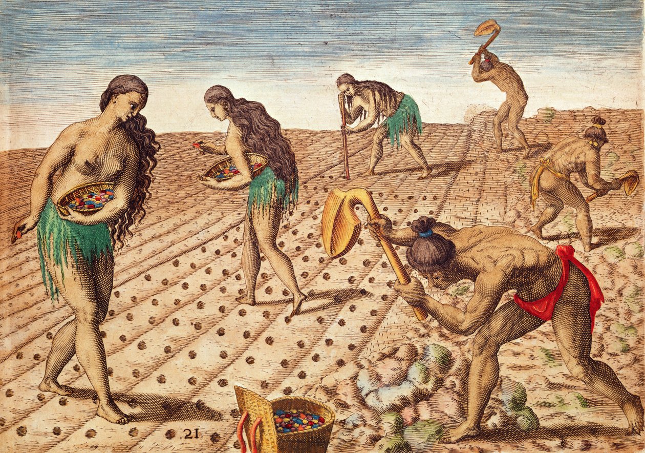 Brevis Narratio, Cultura e semeadura de sementes, 1563 (gravura a cores) de Theodore de Bry