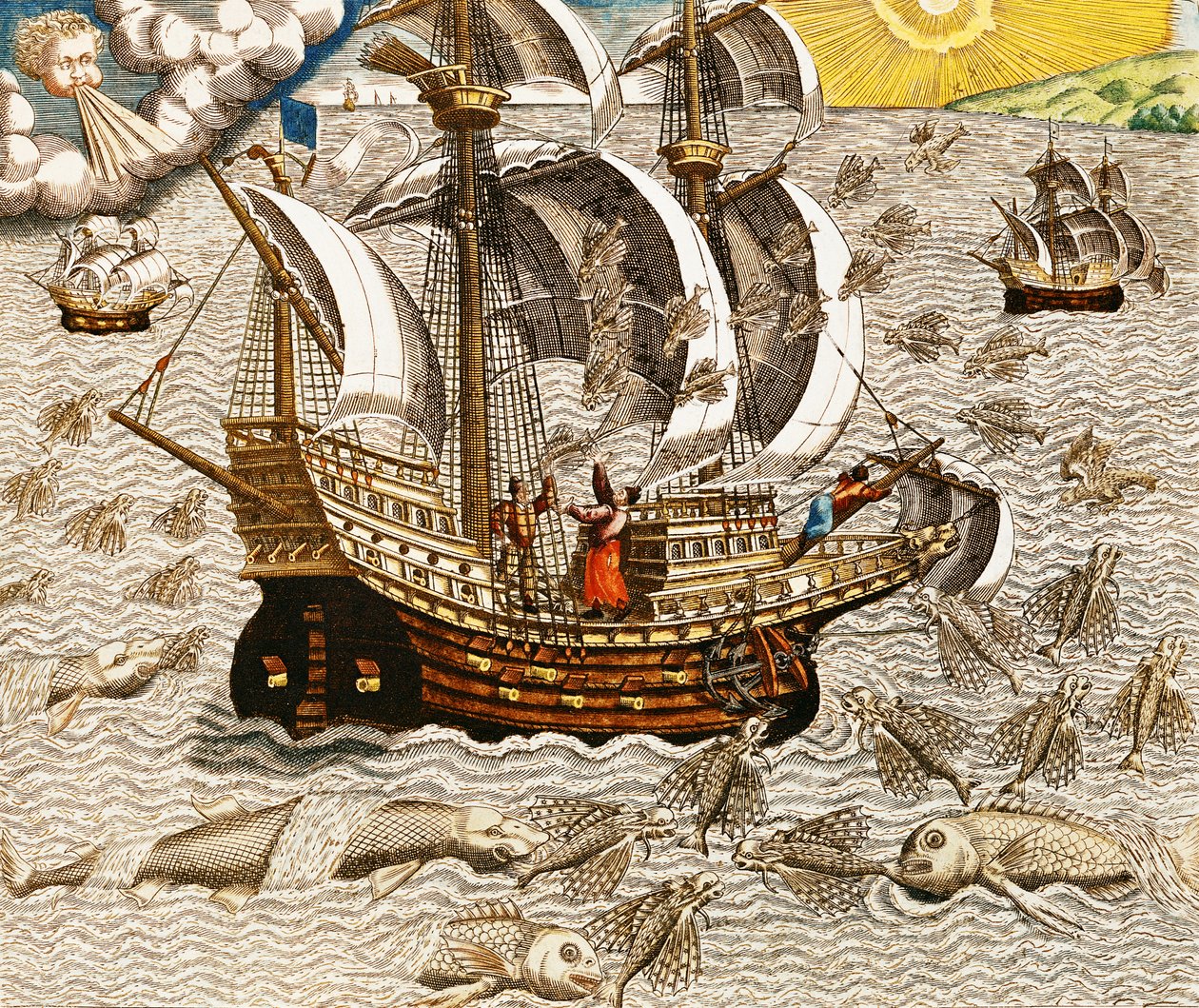 Peixe voador se encontra na zona tórrida, de &39;Americae Tertia Pars ...&39; de Theodore de Bry