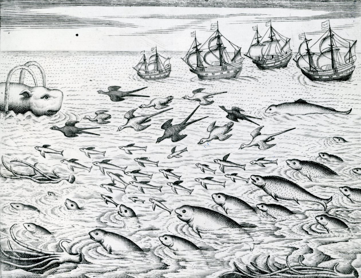 Seascape, ilustração de &39;India Orientalis&39;, 1598 de Theodore de Bry