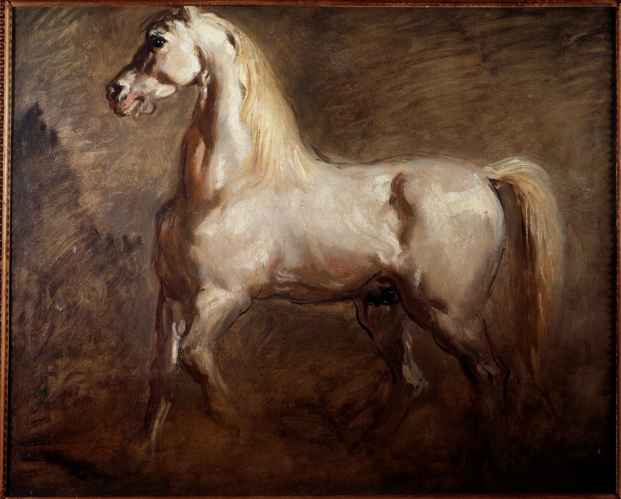 Estudo do cavalo branco no perfil esquerdo Pintura de Theodore Chasseriau de Théodore Chassériau