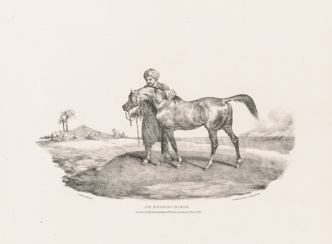 Um cavalo árabe de Theodore Gericault