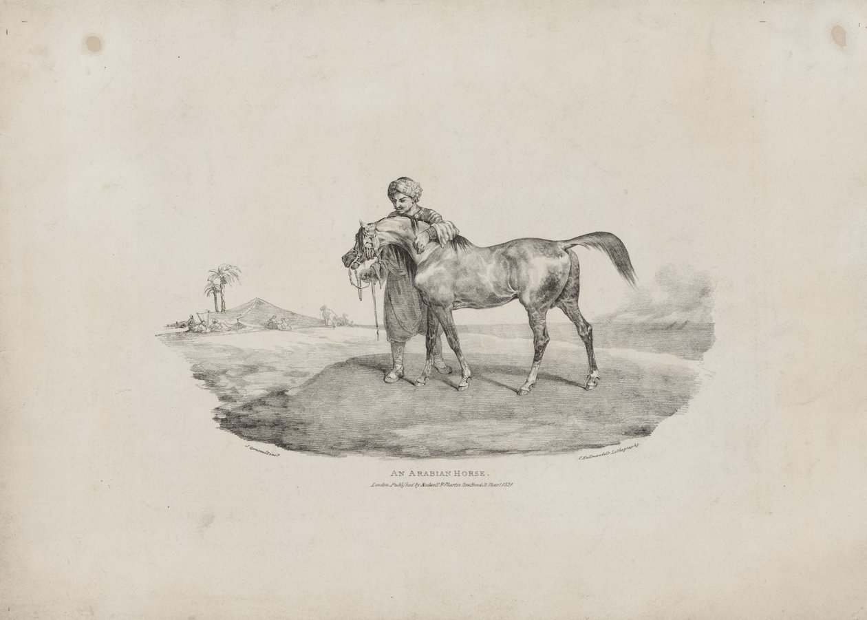 Um cavalo árabe de Theodore Gericault