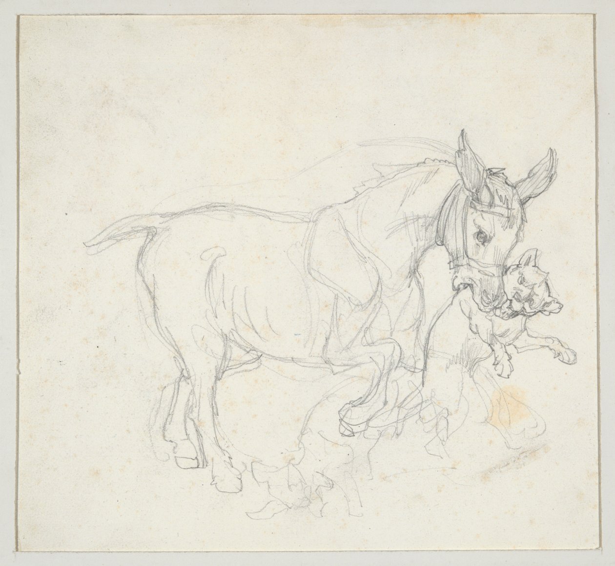 Burro a segurar um cão na boca (anverso); Estudo de veados perseguidos por cães, cabeça de corça (verso) de Theodore Gericault