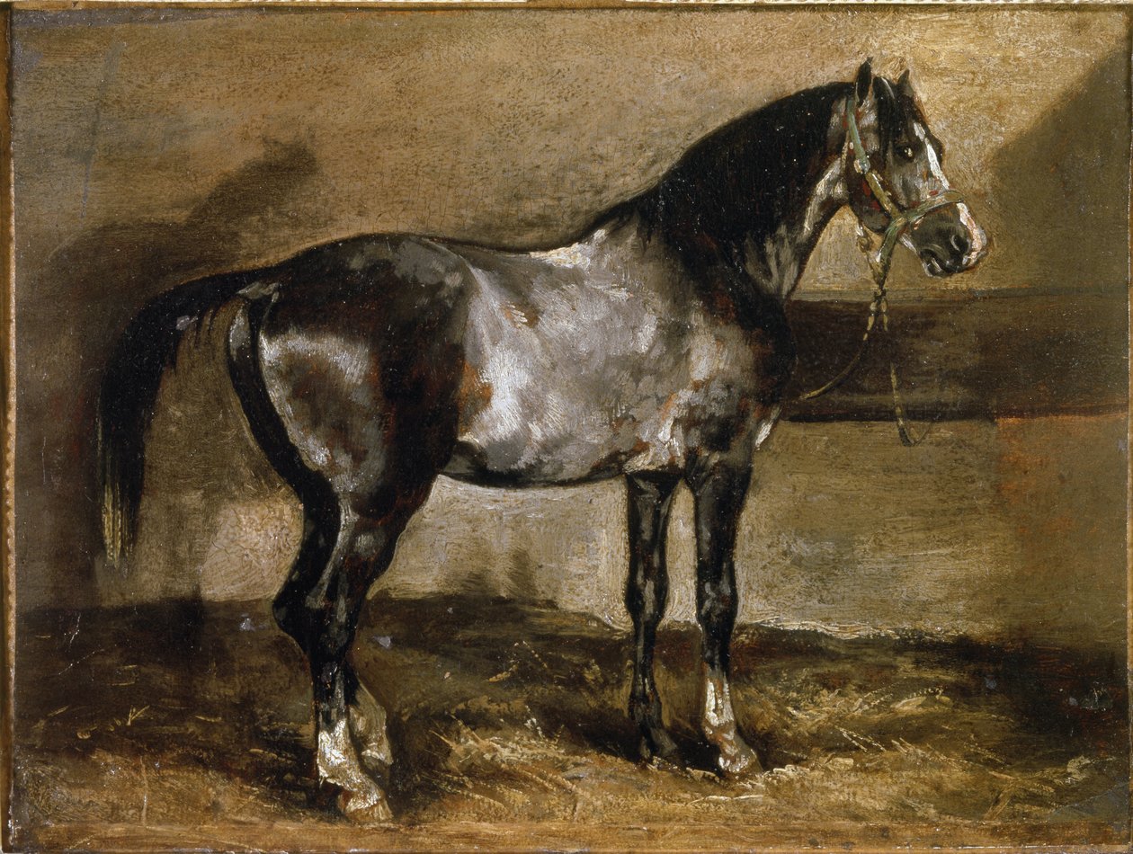 Grey Horse at the Ratelier - óleo sobre tela de Theodore Gericault