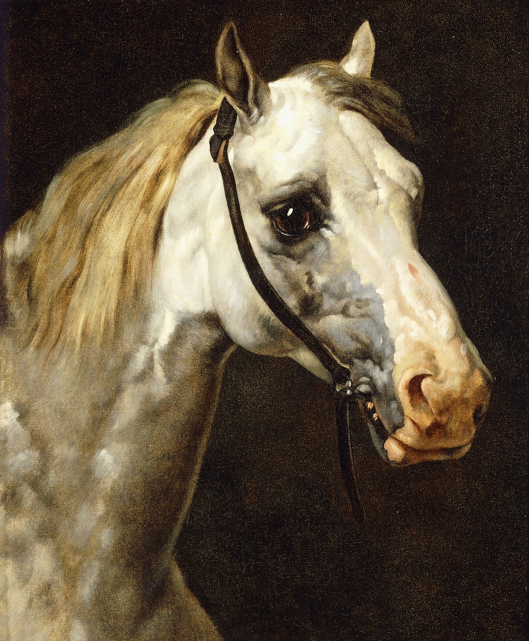 Cabeça de um cavalo malhado, de Theodore Gericault