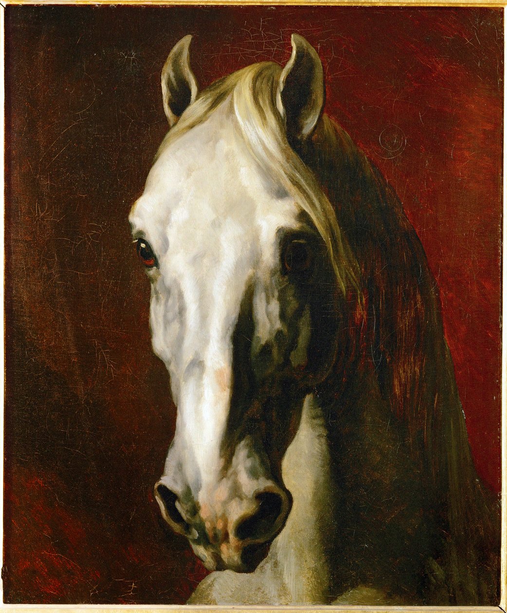 Cabeça de um cavalo branco ... de Theodore Gericault