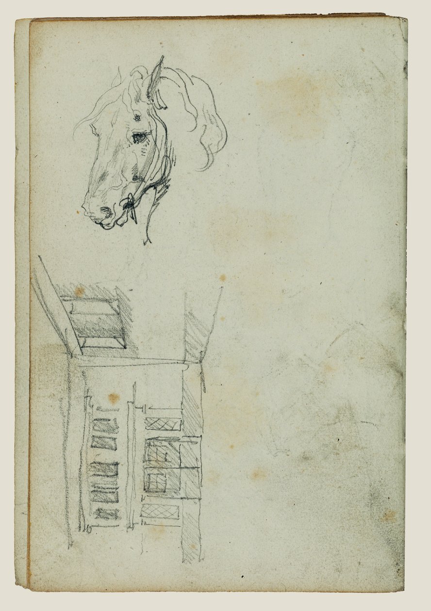 Cabeça de cavalo, vista de um pátio de Theodore Gericault