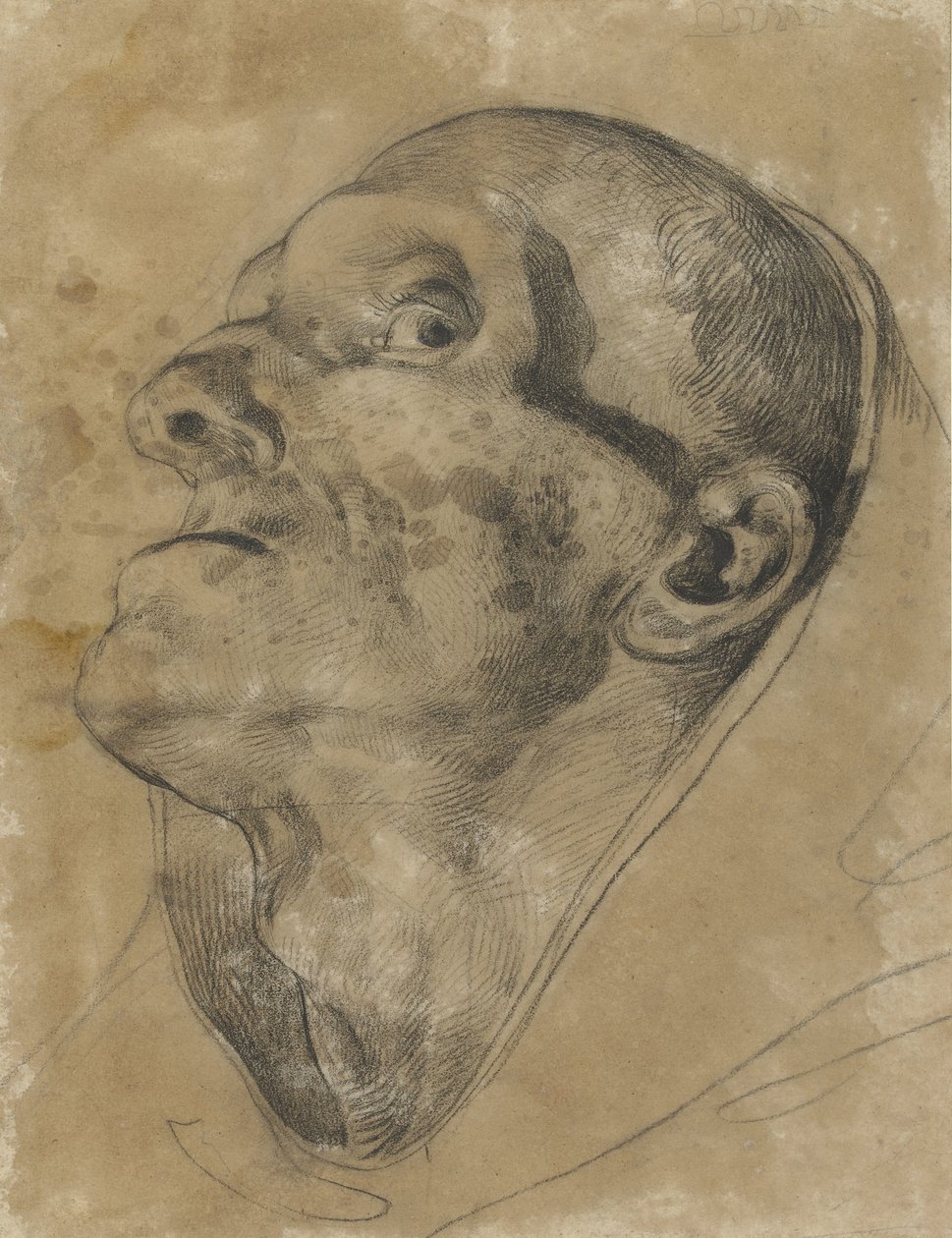 Cabeça de um homem de aspecto, com olhar para baixo de Theodore Gericault
