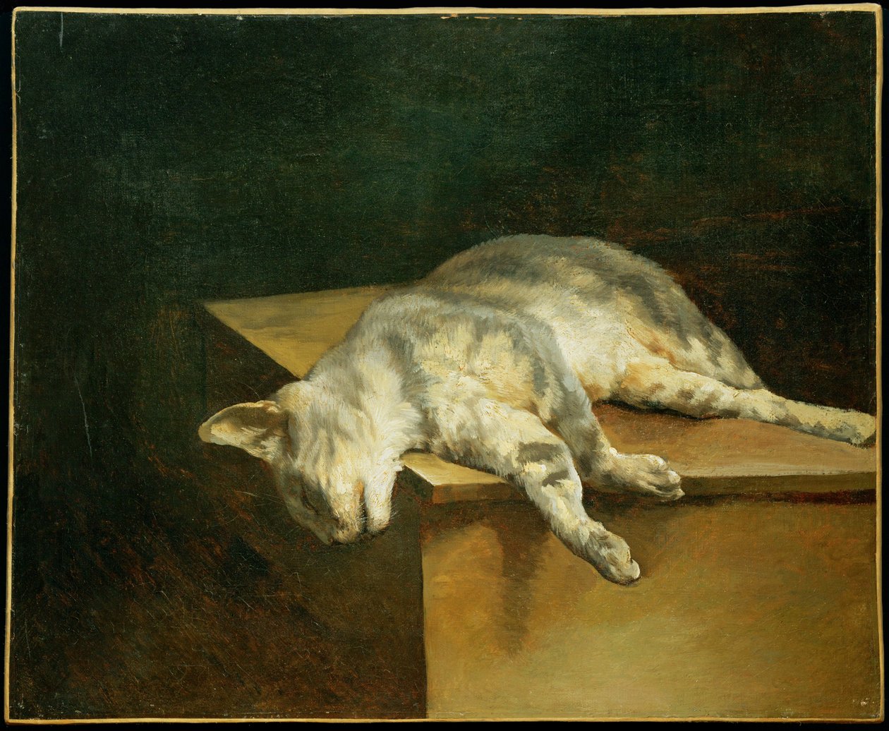 Le chat mort - O gato morto ... de Theodore Gericault