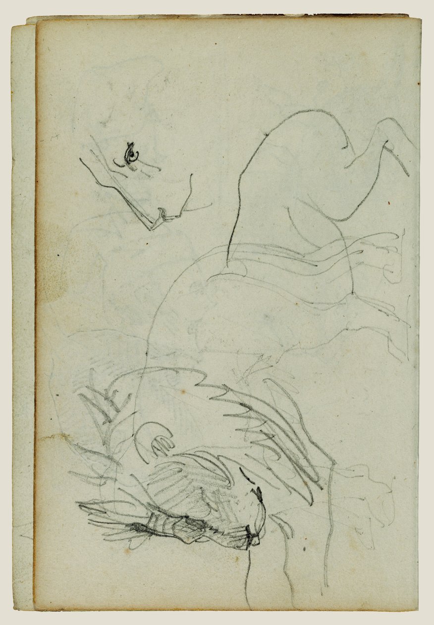 Estudos sobre o leão de Theodore Gericault