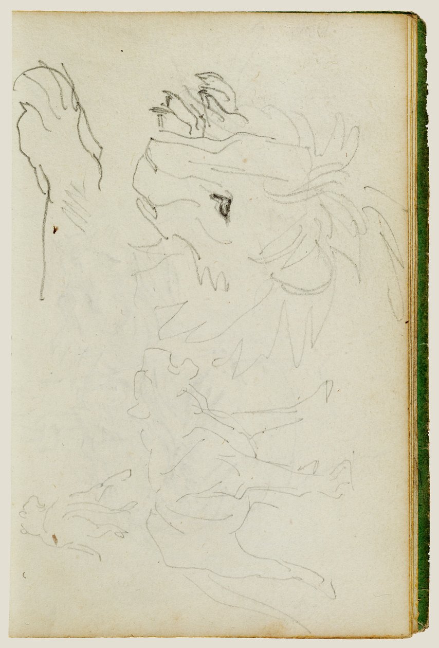 Estudos sobre os leões de Theodore Gericault