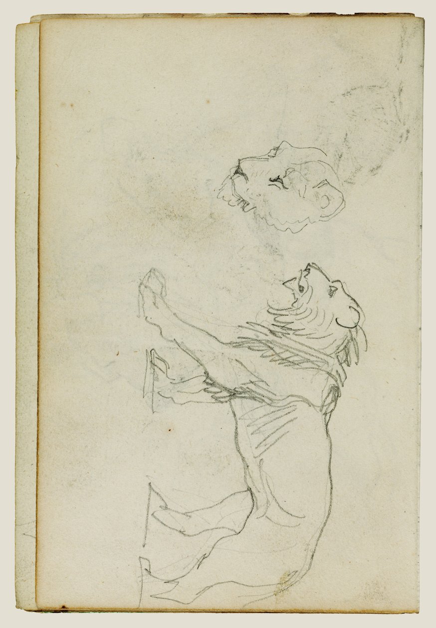 Leão a caminhar, cabeça de leoa de Theodore Gericault