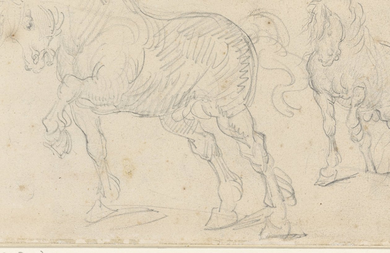 Estudos sobre cavalos de Theodore Gericault